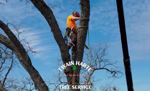 Twain Harte Tree Service 23610 Middle Camp Rd, Twain Harte California 95383