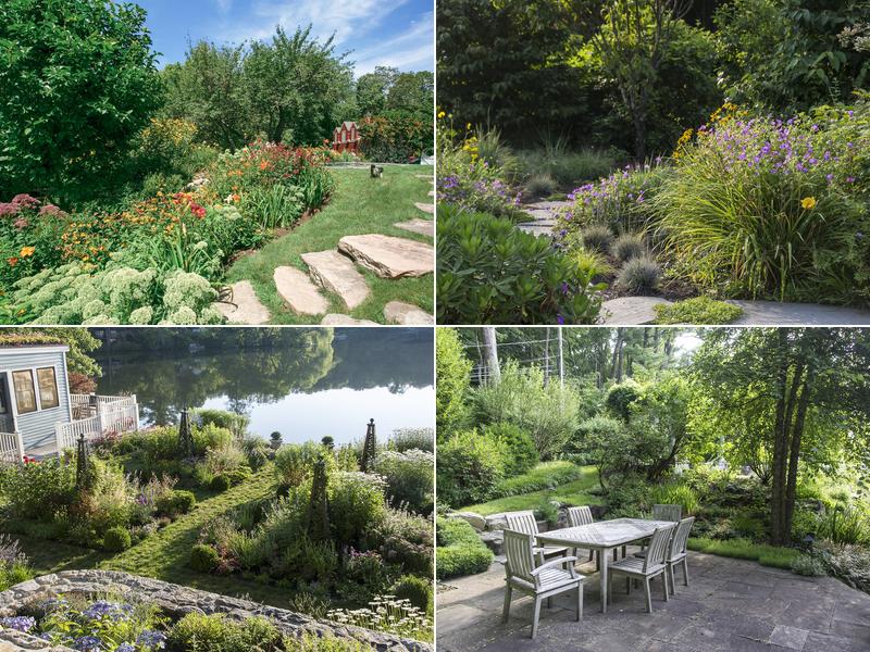 Green Jay Landscape Design