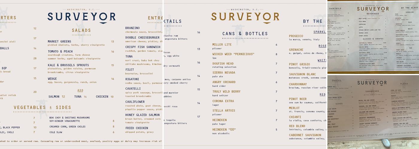 Surveyor Menu