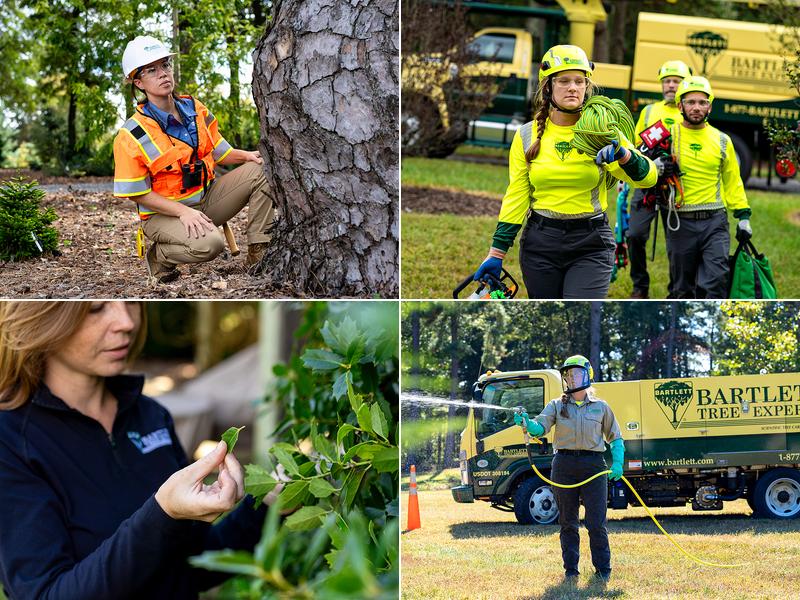 Bartlett Tree Experts