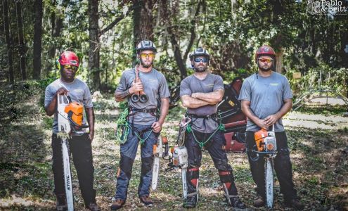 Coastal Arbor Care LLC 9208 Garland Dr, Savannah Georgia 31406