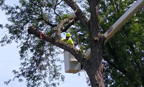 Ted Durdel Landscaping and Tree Service Inc