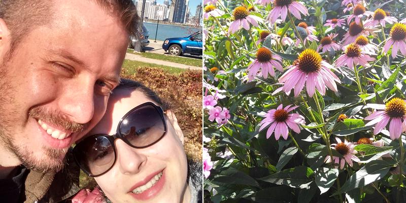 KMS Gardens & Design