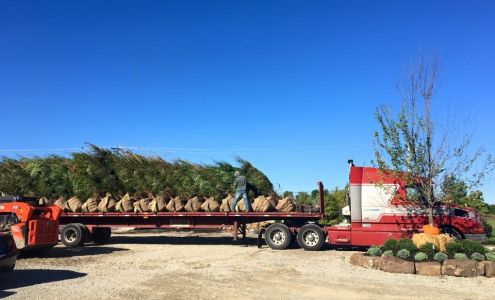 Rangel Professional Landscaping & Nursery Corp. Noblesville