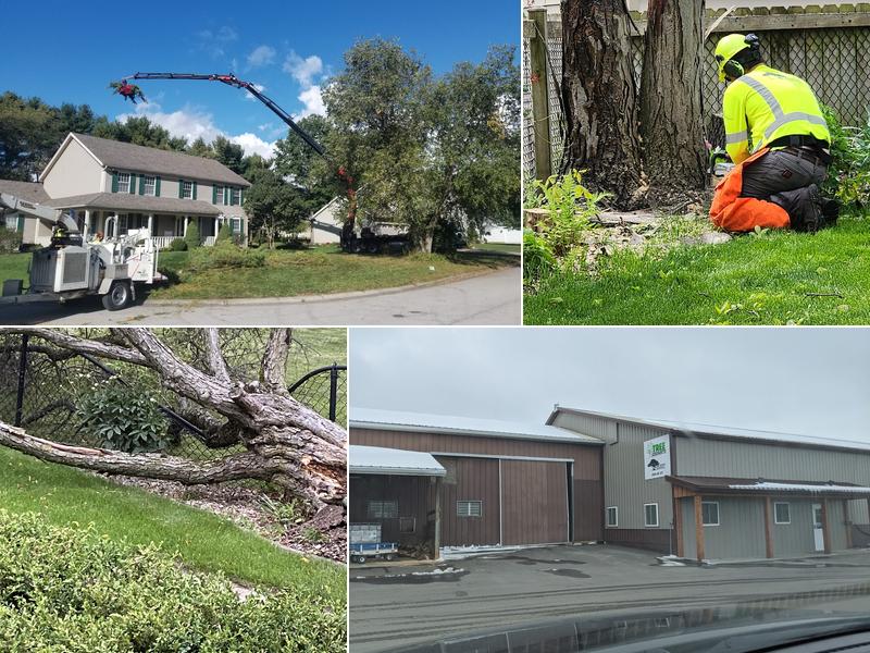 Cut-Rite Tree Services LLC