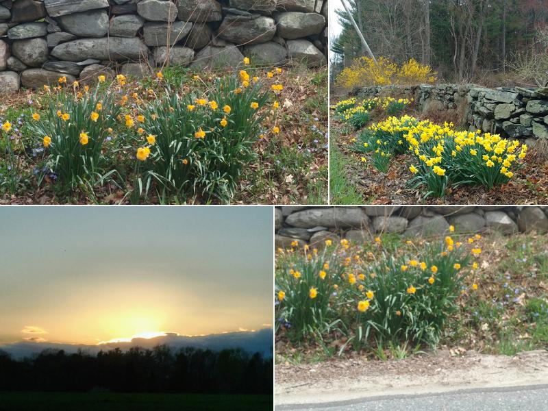 Colonial Barn Restoration