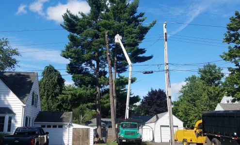 Richy's Tree Services 4 Nicole Terrace, Feeding Hills Massachusetts 01030