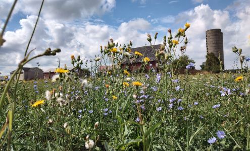 Aglow Carpet Cleaning