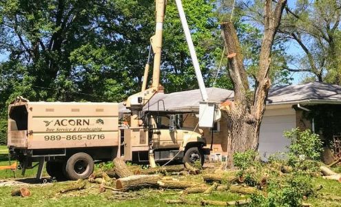 Acorn Tree Service & Landscape Inc. 10021 S Graham Rd, St Charles Michigan 48655