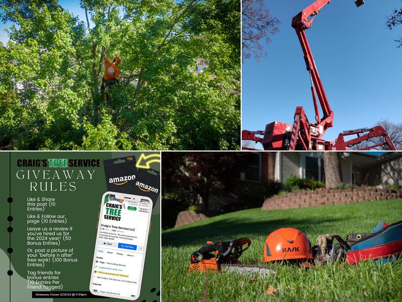 Craig's Tree Service LLC