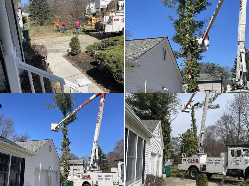 DW Extreme Tree Cutting LLC