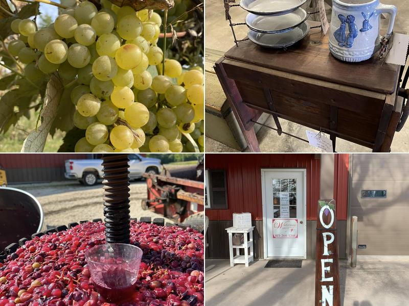 Waterman Winery & Vineyards, Inc.