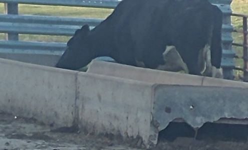 Westlinden Meat & Processing Dyersville