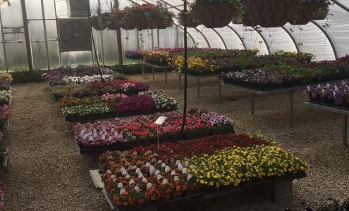 Landscapes By Childs Play Manchester