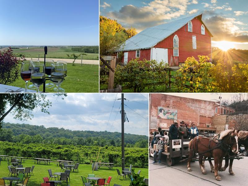 Galena Cellars Vineyard