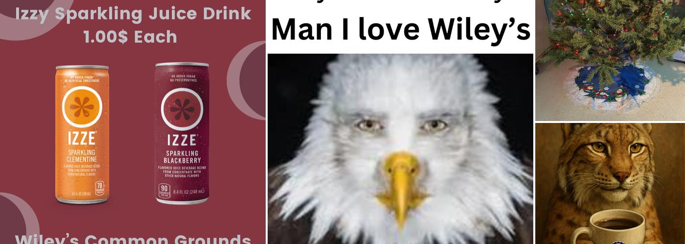 Wiley's Common Grounds