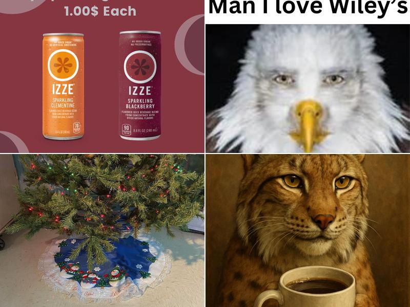 Wiley's Common Grounds