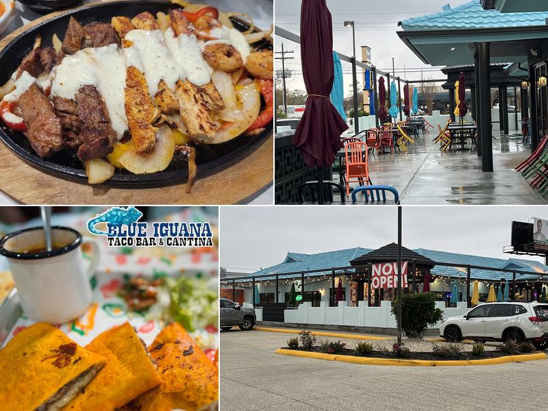 Blue Iguana Taco Bar & Cantina