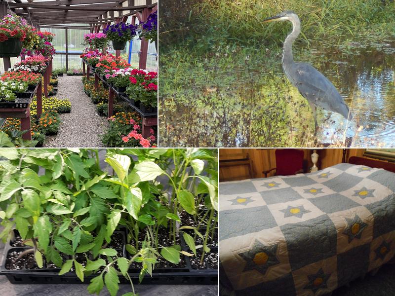 Backyard Greenhouse 8503 N State Rd 135, Morgantown