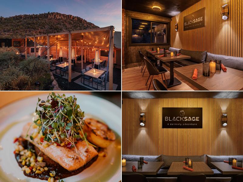 Black Sage 3405 Dalton Wash Rd, Virgin