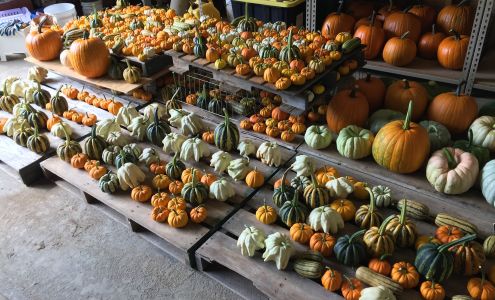 Packa?s Place Horse Shoe