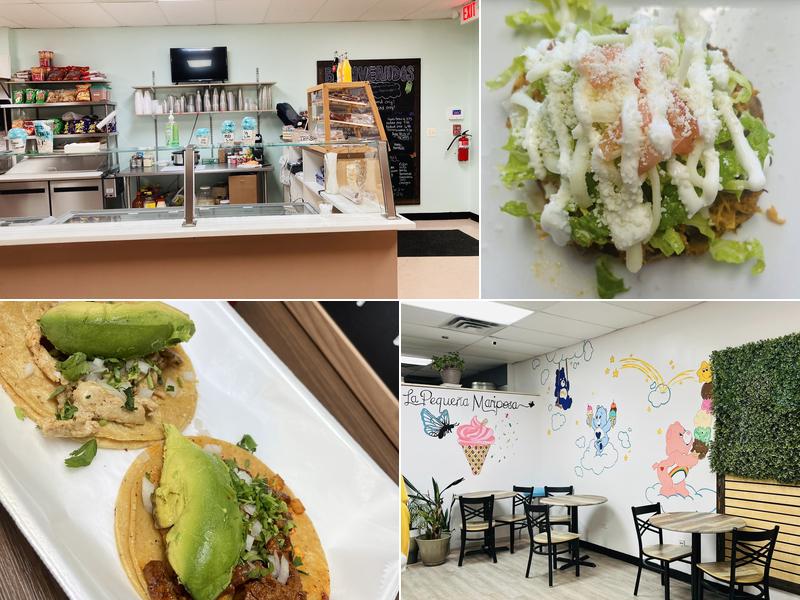 La pequeña mariposa