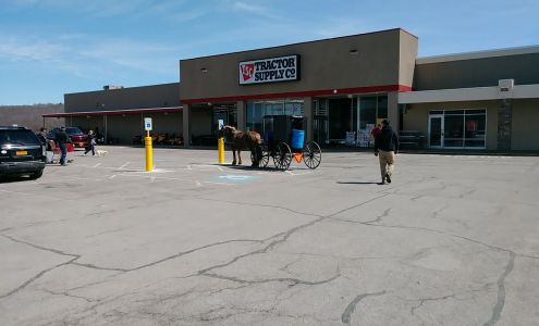 Tractor Supply Dansville