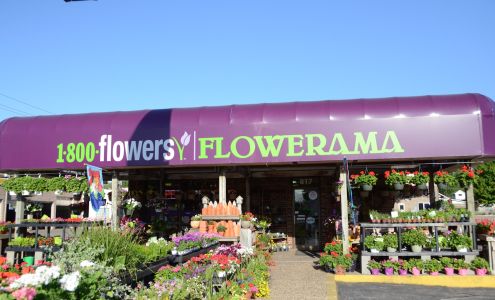 1-800Flowers|Flowerama Iowa City