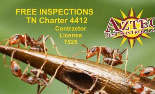 Aztec Pest Control LLC 402 W Market St, Dyersburg Tennessee 38024