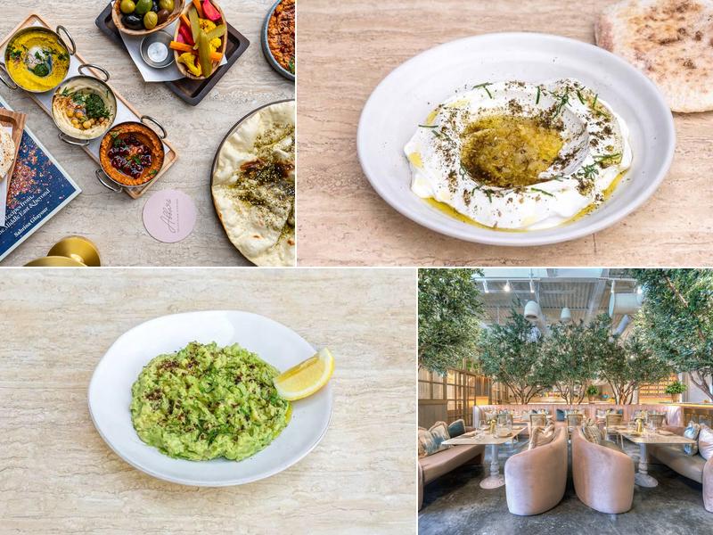 Abbalé Telavivian Kitchen - Aventura