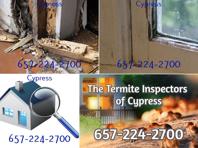 The Termite Inspectors of Cypress