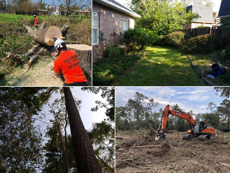 First Chantz Tree Service