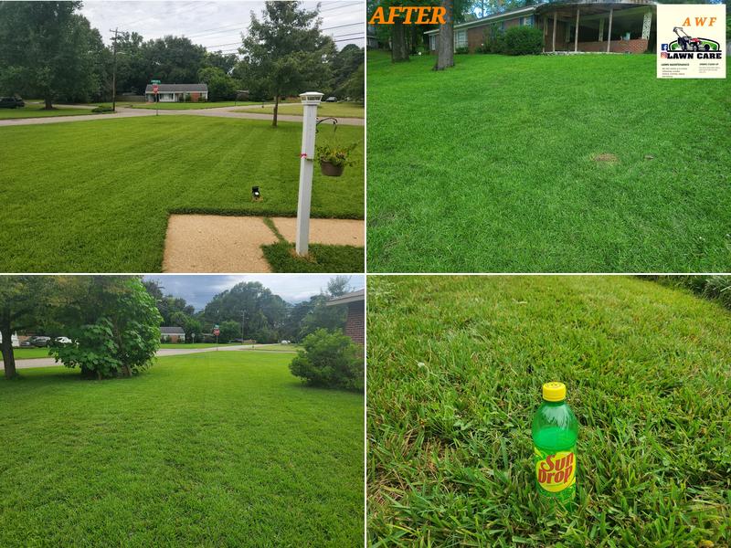 New Leaf Lawn Care & Landscaping