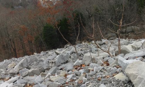 Mid South Lawn & Garden