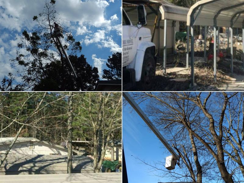 J c tree service cave city ar