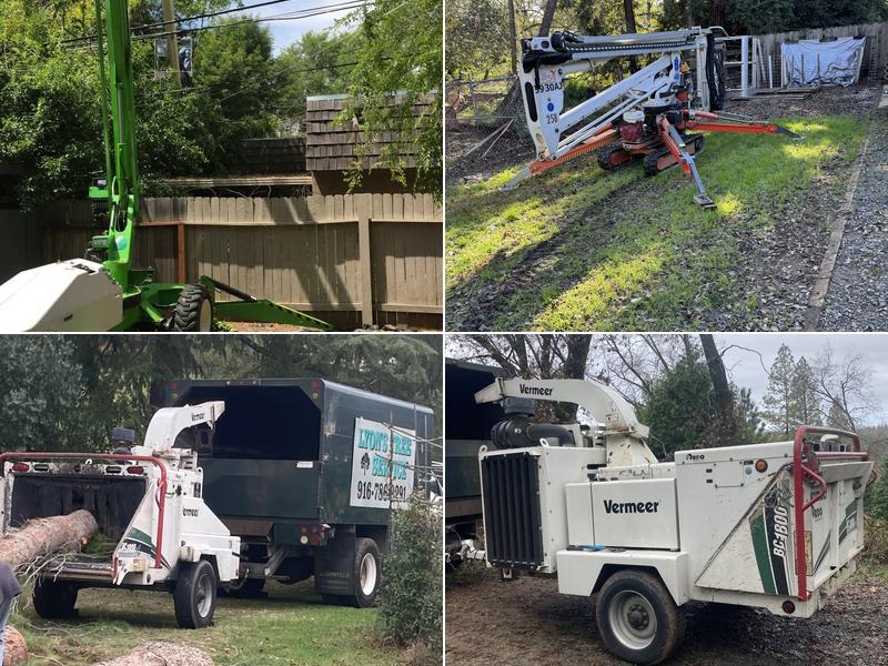 Lyons Tree Service Roseville