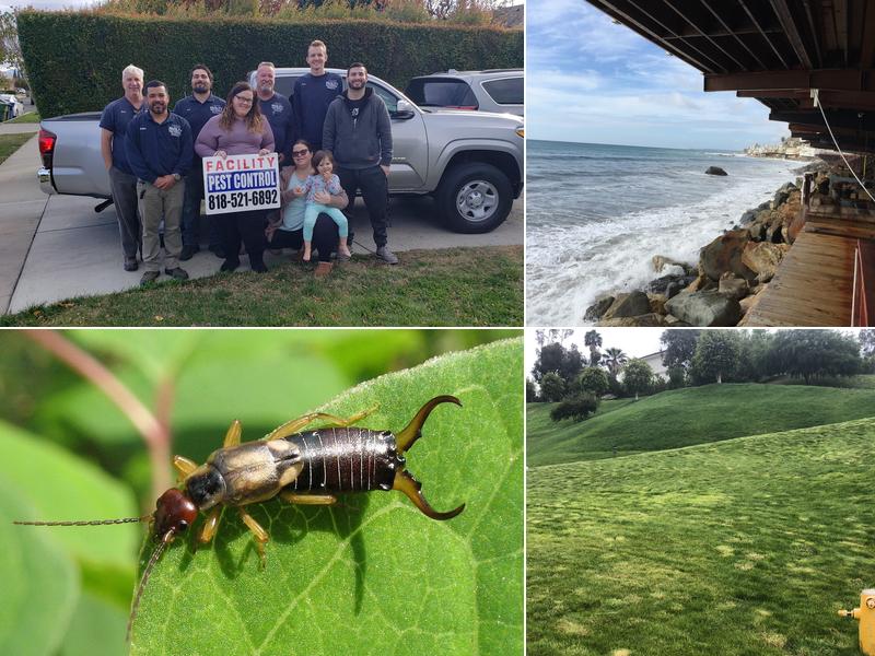 Facility Pest Control