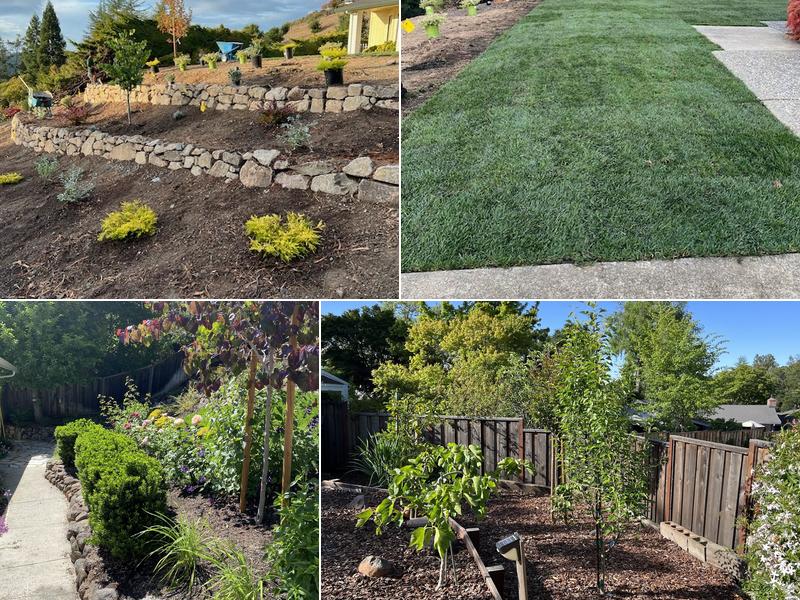 Rafael's Landscaping