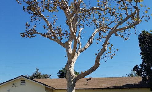 GRS Landscaping & Paving Co.