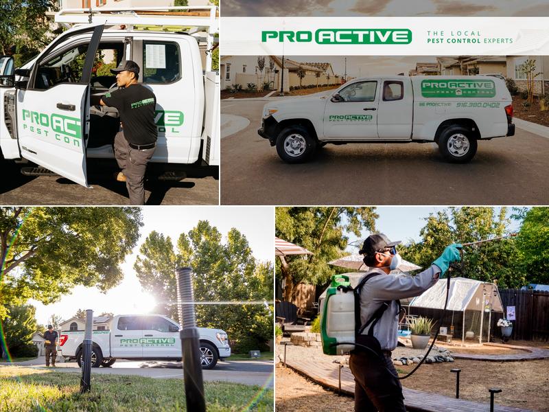Pro Active Pest Control