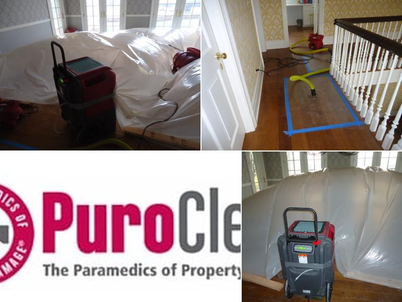 Pure Mitigation & Restoration Services