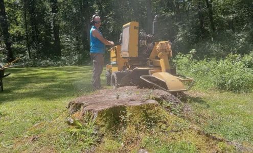 Stump Grinders CT