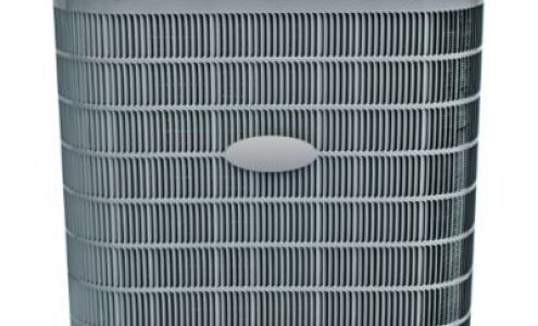 CE (Carrier Enterprise)