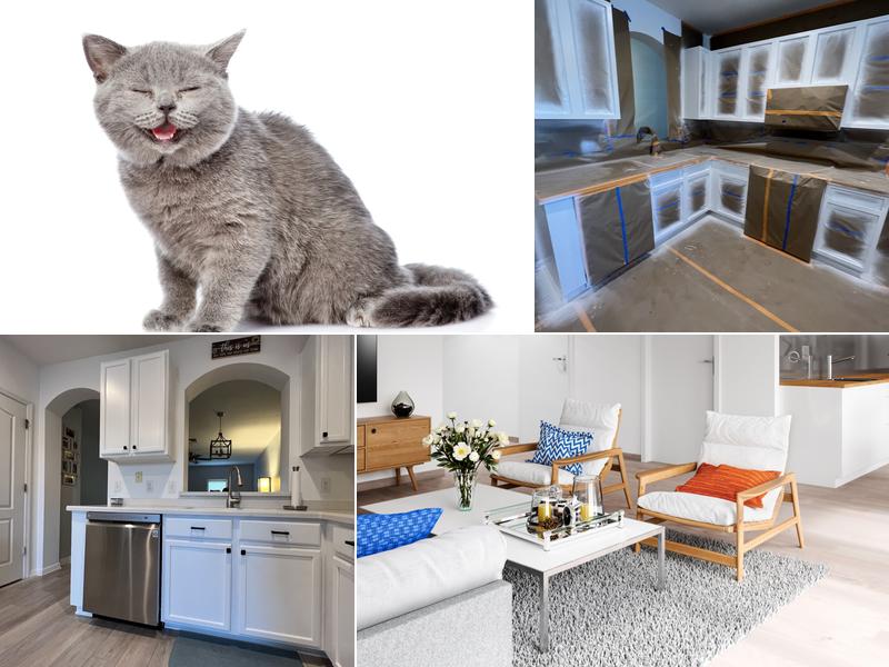 Ann's Personal Touch Cleaning