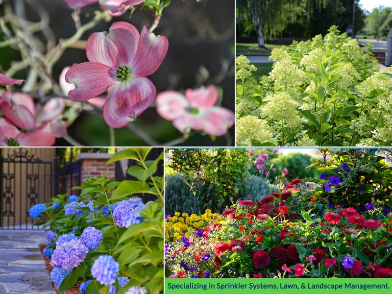 A To Z Sprinklers & Landscaping