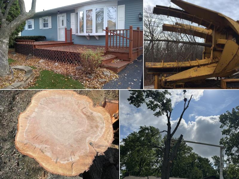 J.R. Ellington Tree Experts