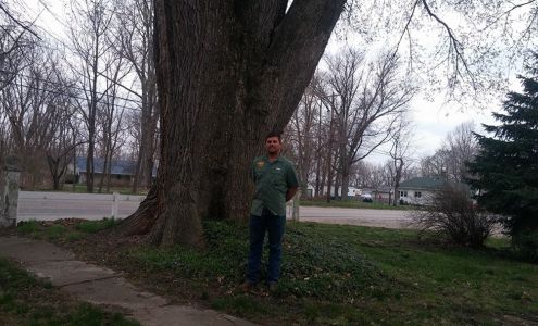 Salmon's Tree Service 8615 N Erickson St, Terre Haute Indiana 47805