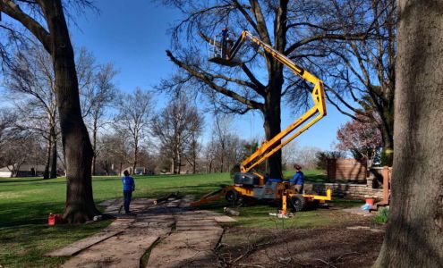 Williams Jr Tree Service And Firewood