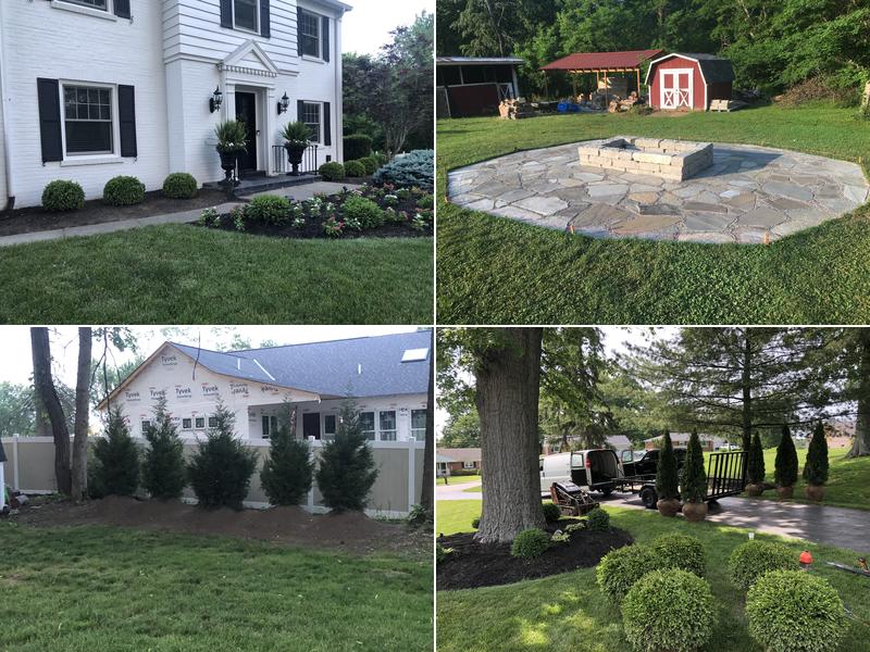 Better Tree & Lawn Care Service LLC