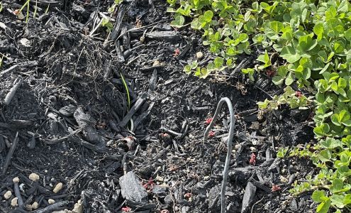 Richter Landscaping Inc (New Ownership Since 2024)